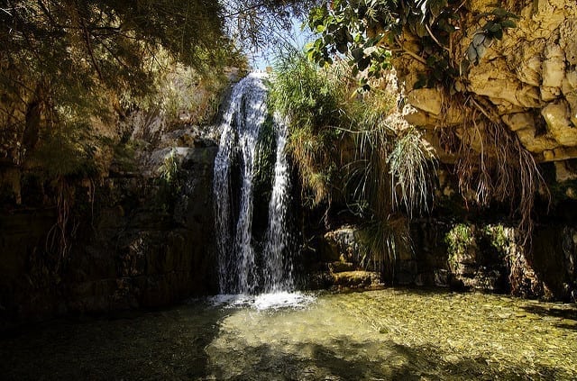 Ein Gedi Hike